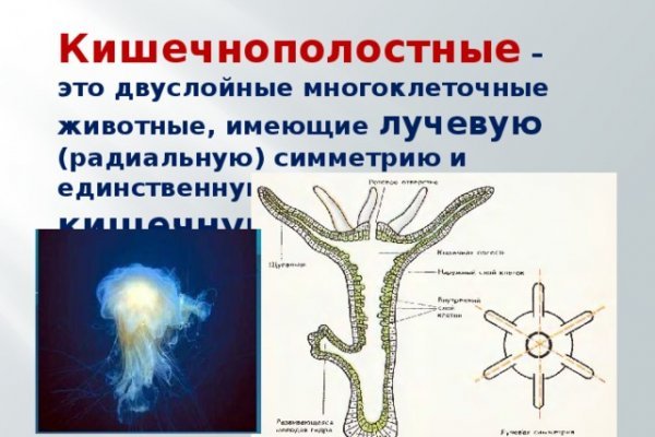 Как вывести деньги с кракена