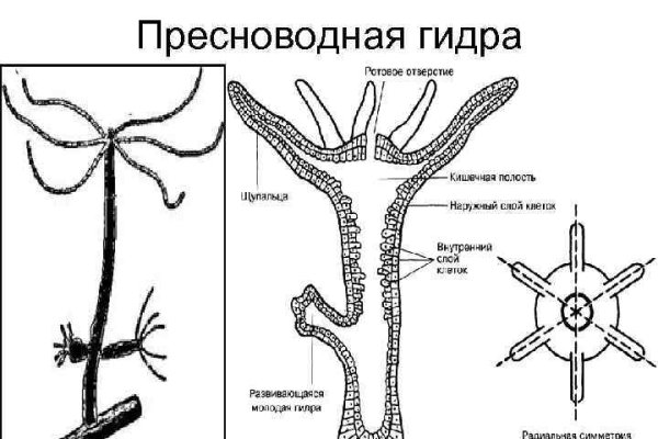 Кракен ссылка маркет