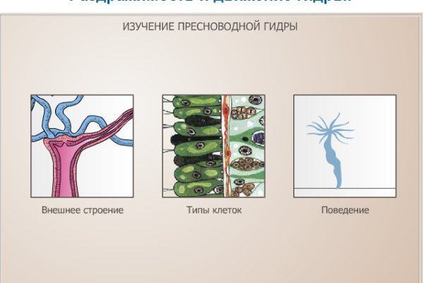 Kraken маркетплейс официальный