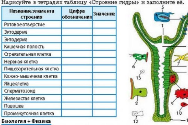 Ссылка официальный сайт кракен