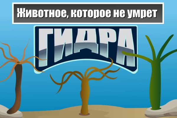 Можно ли зайти на кракен через обычный браузер